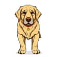 Watson — character reference for The Ghost Leg and the Coming Storm